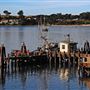Bodega Bay