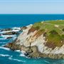 Bodega Head / Dunes (Sonoma Coast State Beach)