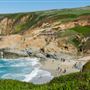 Bodega Head / Dunes (Sonoma Coast State Beach)