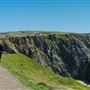 Bodega Head / Dunes (Sonoma Coast State Beach)
