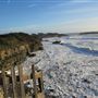 Gualala Point Regional Park
