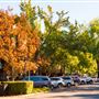 Healdsburg