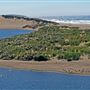 Salmon Creek Beach (Sonoma Coast State Park)