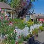 Sebastopol