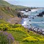 Sonoma Coast State Park (SP)