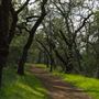 Spring Lake Regional Park