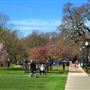Windsor