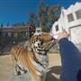 Six Flags Discovery Kingdom