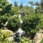 Japanese Gardens @ Donald C. Tillman Water Reclamation Plant