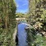 Japanese Gardens @ Donald C. Tillman Water Reclamation Plant