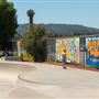 Pedlow Field Skate Park