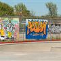 Pedlow Field Skate Park