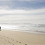 Marina State Beach (SB)