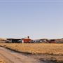 CG Cattle Company
