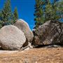 Washoe Meadows State Park (SP)