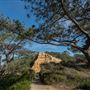 Tomales Bay State Park (SP)