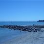 Capitola City Beach