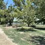 Whittier Narrows Recreation Area / LA County Parks - US Army Corps of Engineers