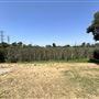 Whittier Narrows Recreation Area / LA County Parks - US Army Corps of Engineers