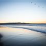 Sand City Beach / Eolian Dunes Preserve
