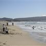 Sand City Beach / Eolian Dunes Preserve