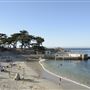 Pacific Grove