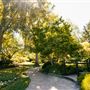 Ferrari Carano Vineyards and Winery