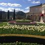 Ferrari Carano Vineyards and Winery