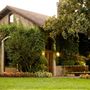 Dry Creek Vineyard