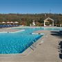 Francis Ford Coppola Winery