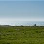 Estero Bluffs State Park (SP)