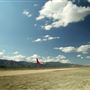Skylark Field Airport