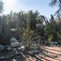 The Living Desert Zoo and Botanical Gardens