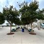 Veterans Park - City of Carson