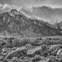 Lone Pine