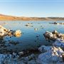 Mono Lake Tufa State Natural Reserve (SNR) / South Tufa Lake - Inyo National Forest (NF)