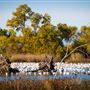 Gray Lodge Wildlife Area - California Department of Fish & Wildlife (CDFW)