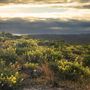 Fort Ord National Monument