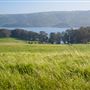 Straus Home Ranch