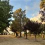 Skyotee Ranch