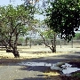 Cal Poly Pomona Campus South / RSI Pomona