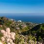 Aliso and Wood Canyons Wilderness Park
