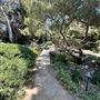 Storrier Stearns Japanese Garden