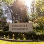 Concordia University