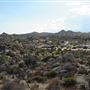 Yucca Valley