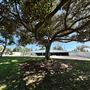 Anderson Park - City of Carson