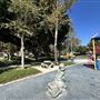 Anderson Park - City of Carson