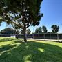 Anderson Park - City of Carson