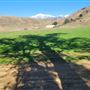 Bracaccini Ranch Property - 50 acres open field / Ranch House / Barns