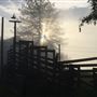 Bees Rock Ranch